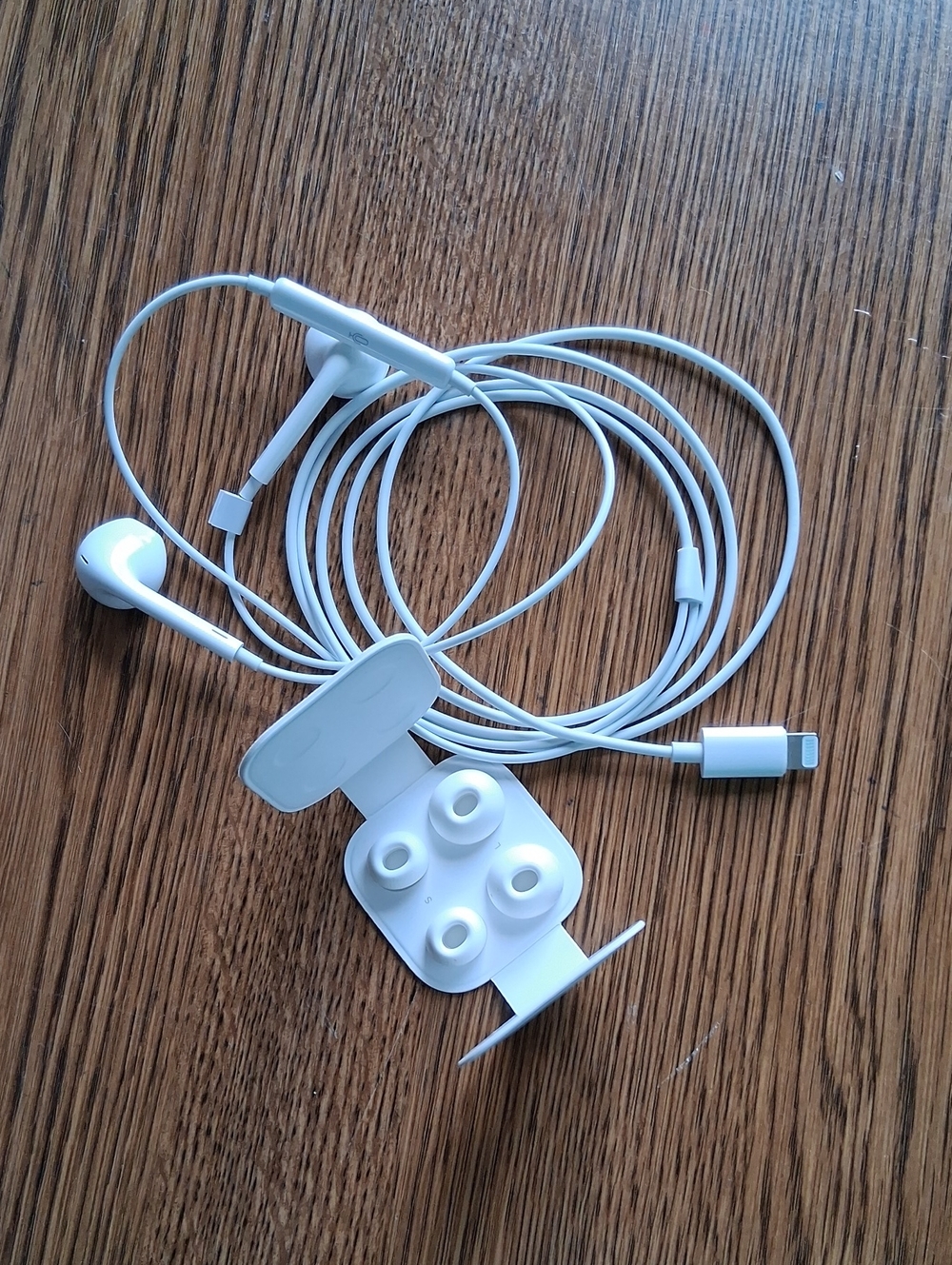 White Wired Lightning Earphones with Silicone Tips